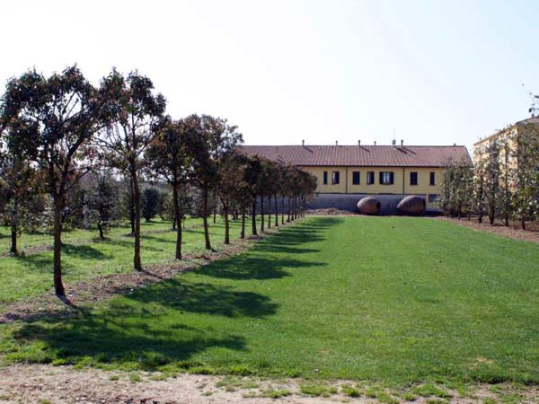 Impresa-giardinaggio-con-vivaio