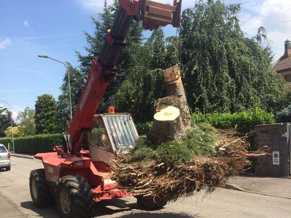 Impresa-manutenzione-giardino