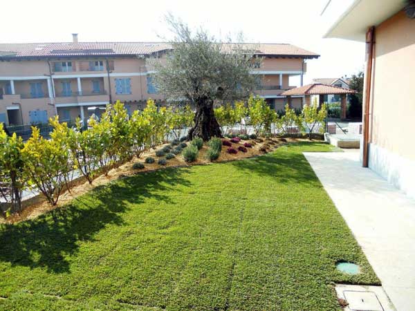 Preventivo-creazione-giardino-condominio-lecco