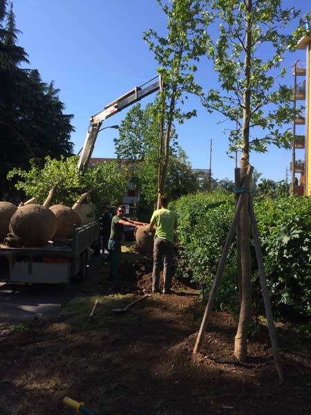 Realizzazione-giardini-monza-brianza-arcore Realizzazione-giardini-monza-brianza-arcore