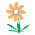 Vivaio-alberi-piante